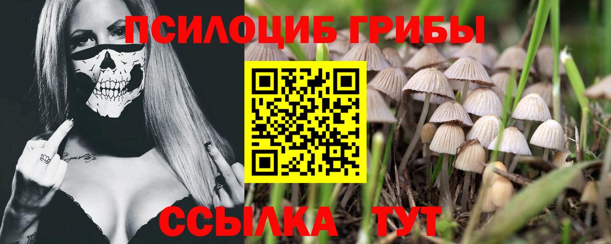 Псилоцибиновые грибы Magic Shrooms  Галлюциногенные грибы MAGIC MUSHROOMS  Новоуральск  Вход с VPN 